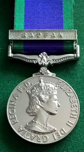 Campaign service medal radfan - service,