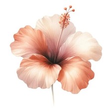 9x9cm flower wall decal