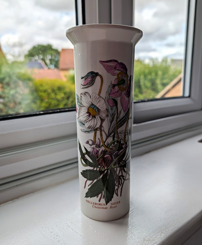 Vintage portmeirion botanic - vintage,