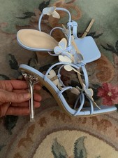 Beautiful Blue Lady’s