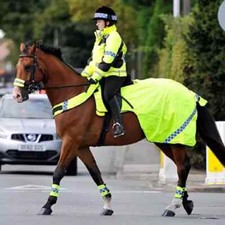 Equisafety Hi-Viz Polite