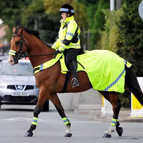 Equisafety viz polite - equisafety,