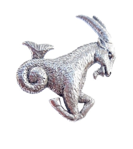Capricorn star sign - star,