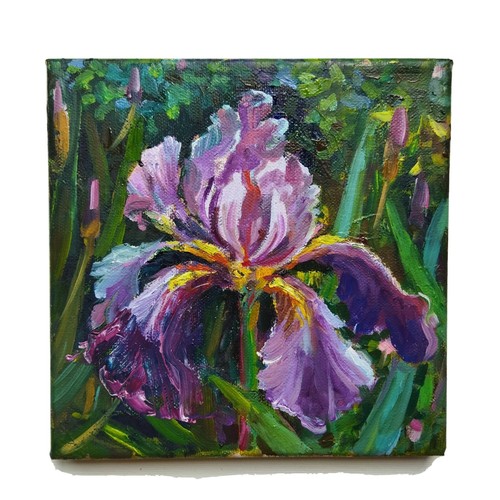 Oil painting iris - oil, flower