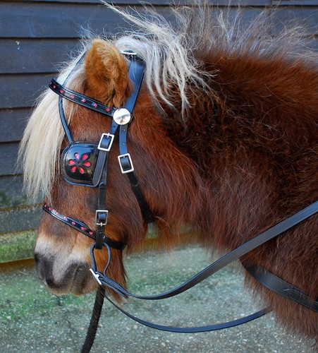 Miniature leather harness - leather, |