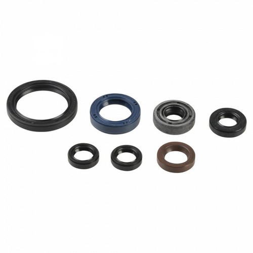 Engine gaskets set fits ccm - gaskets,