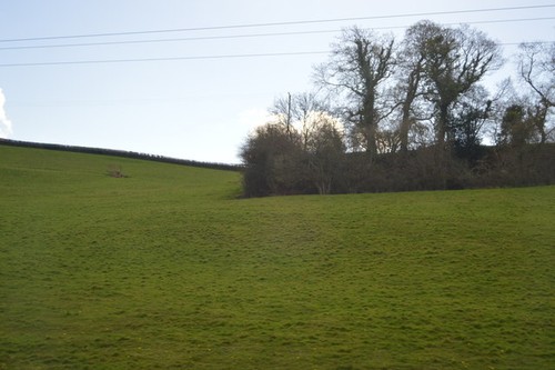 Photo 6x4 pasture - 6x4, land