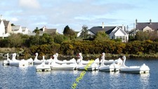 Photo 6x4 Pedalo swans on
