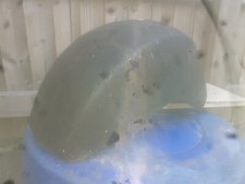 VESPA PX RANGE MATT BLACK FRONT MUDGUARD FOR SPARES/REPAIRS IN USED CONDITION