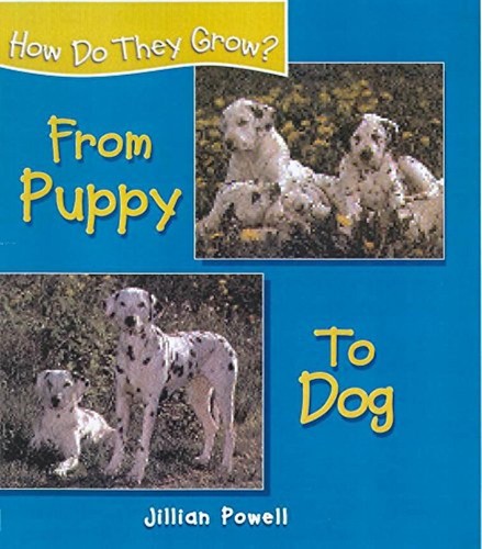 From puppy dog jillian - from,