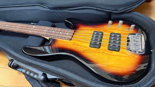 2000 bass with case - g&l, l-2000