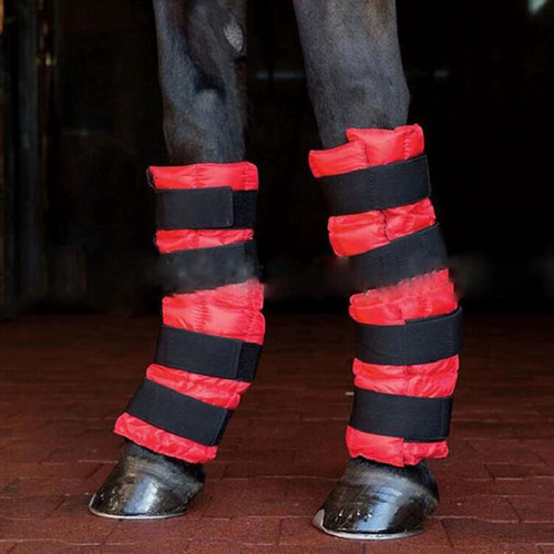 Horse leg cooling - leg, pad