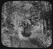 Photo A DEVONSHIRE LANE C1890
