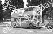 Bus Negative & Copyright