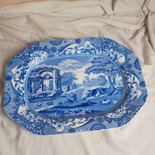 Large spode blue italian meat - large,