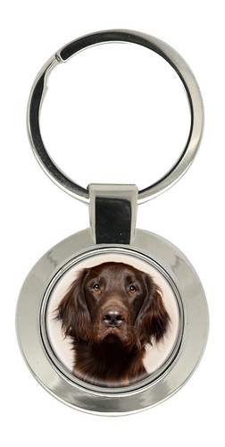 Flat coated retriever - flat-coated, ring