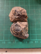 Black Amber Natural Unpolished