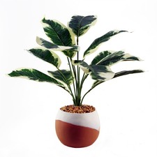 Artificial Plant Pothos
