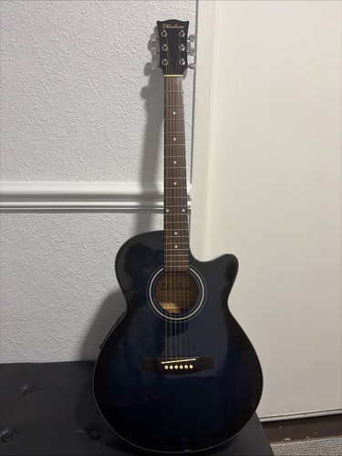 Electric acoustic guitar - an,