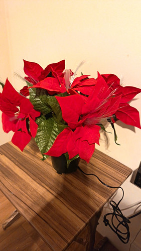 Artificial red green - artificial, red/green