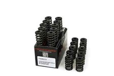 Piper Single Valve Spring Kit