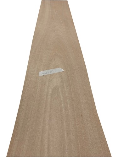 Beech wood veneer - beech,
