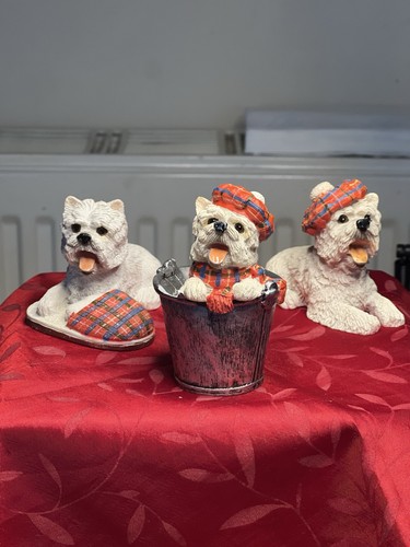 Set westie dog - set,