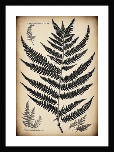 Refined fern fronds print - refined,