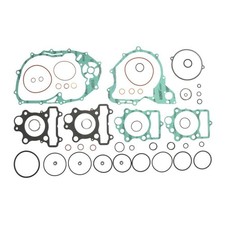 1X ENGINE GASKETS - SET FITS