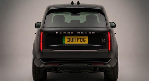 Du11 fog private cherished - du11,