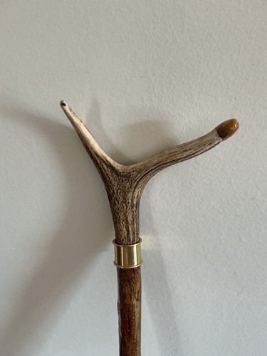 Red deer antler - antler, stick