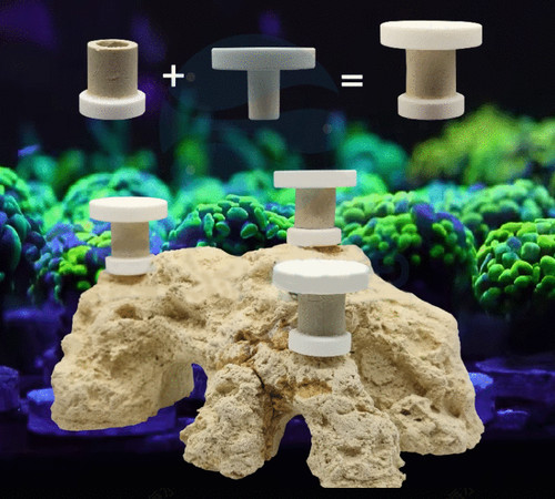 Movable coral frag - frag,
