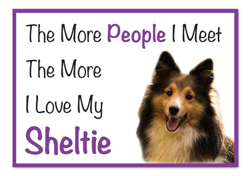 The more love sheltie - love, dog