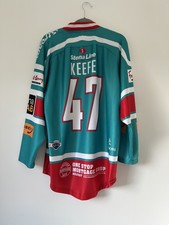 Belfast Giants 2013/14 Home