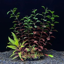 Artificial Aquarium Decor