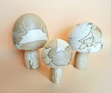 Gorgeous set 3 unique spalted