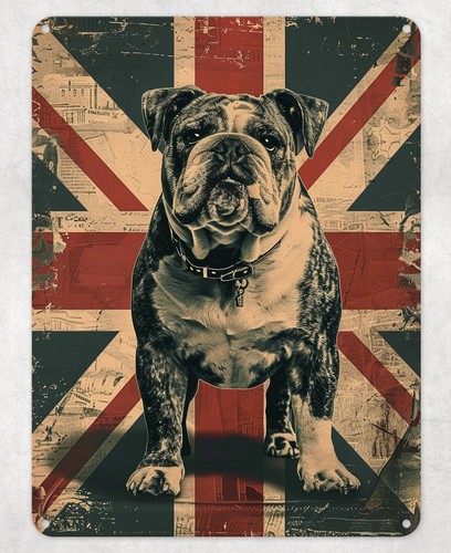 British bulldog union - british, jack