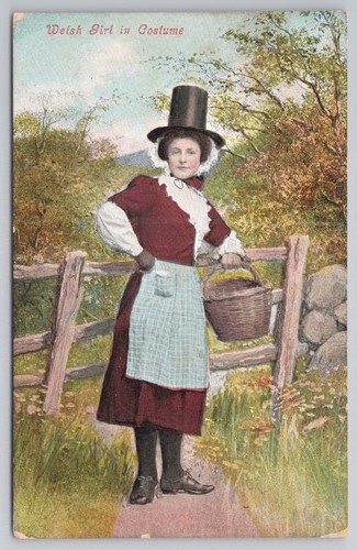 Welsh girl costume - welsh,