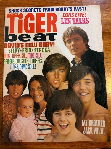 Vintage tiger beat magazine - tiger,