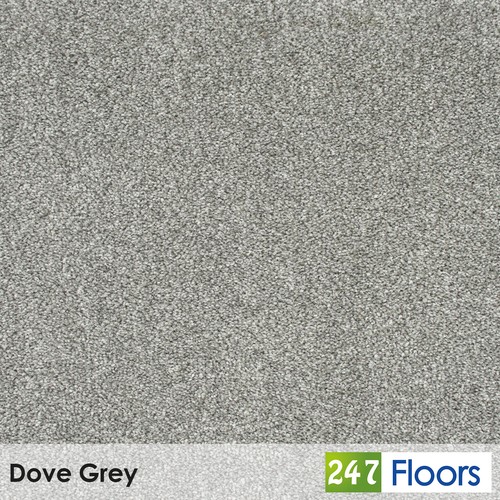 Dove grey soft - soft, carpet