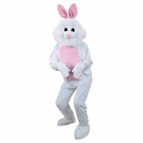 Adult animal rabbit - rabbit, mascot