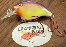Discontinued Rapala DT-4 PS