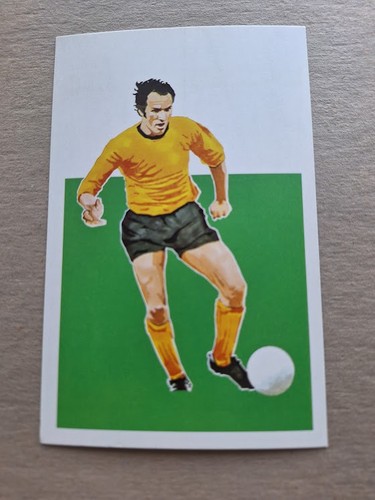 Derek dougan wolves - derek,