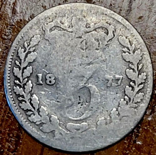 1877 victoria young - victoria, head