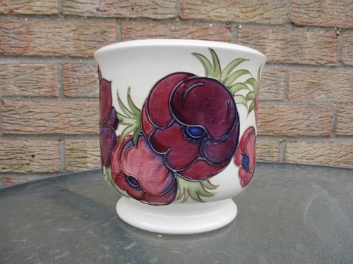 Moorcroft anemone white - moorcroft, on