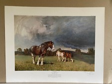 RARE Terence Cuneo Horse art