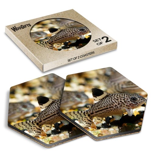 Hexagon mdf coaster - hexagon,