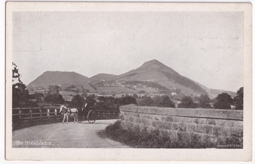 Old breidden hills powys wales - breidden,