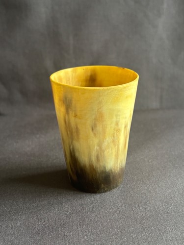 Vintage cow horn - vintage,