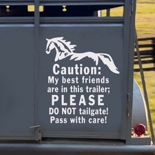 Caution Best Friends, Horse